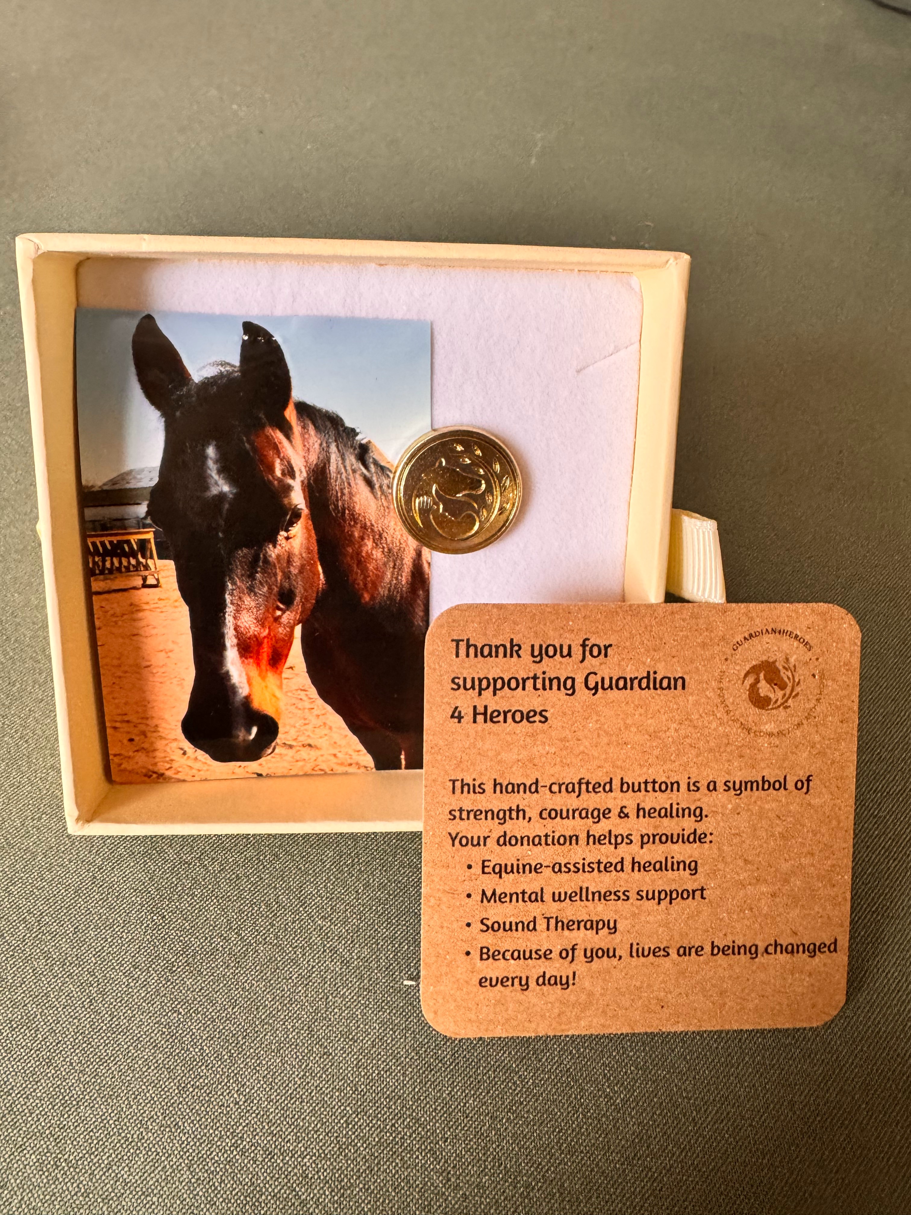 Drifter limited edition Guardian 4 Heroes coin box gift set