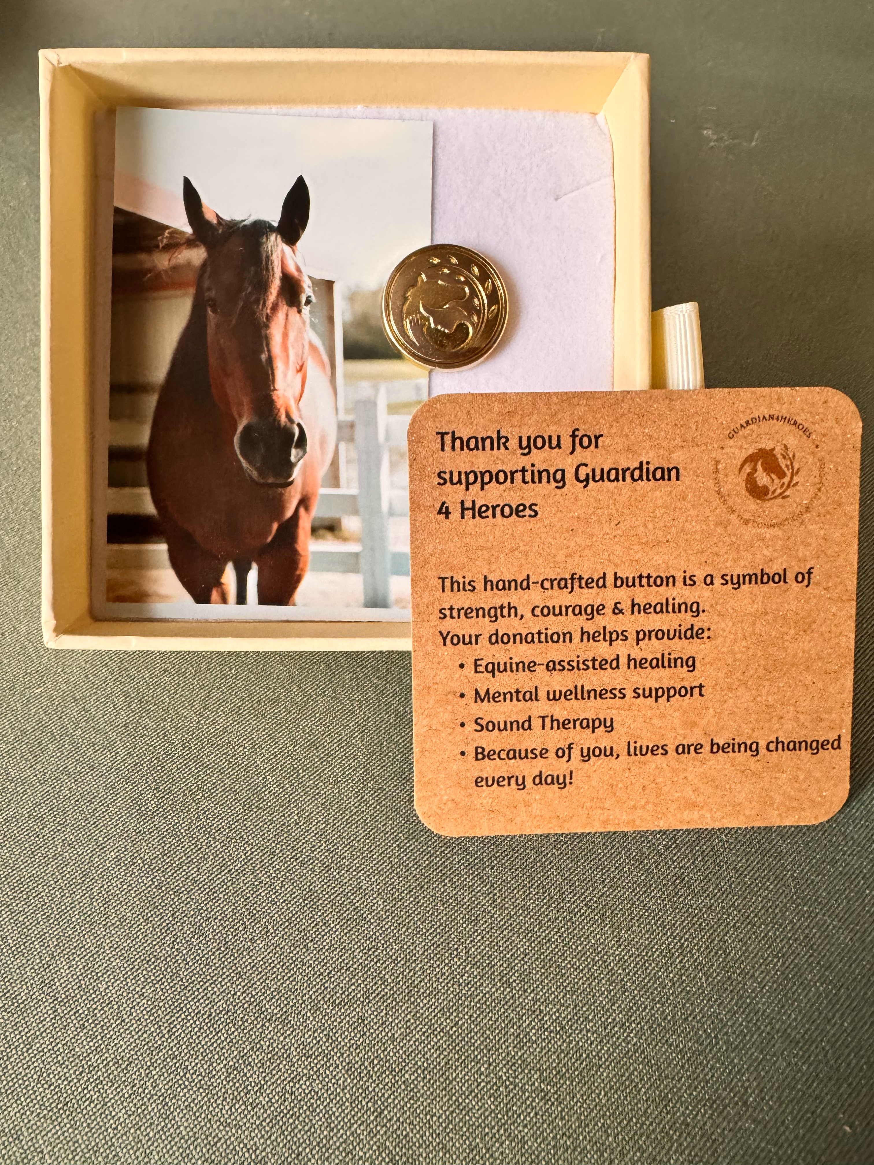 Frank limited edition Guardian 4 Heroes coin box gift set