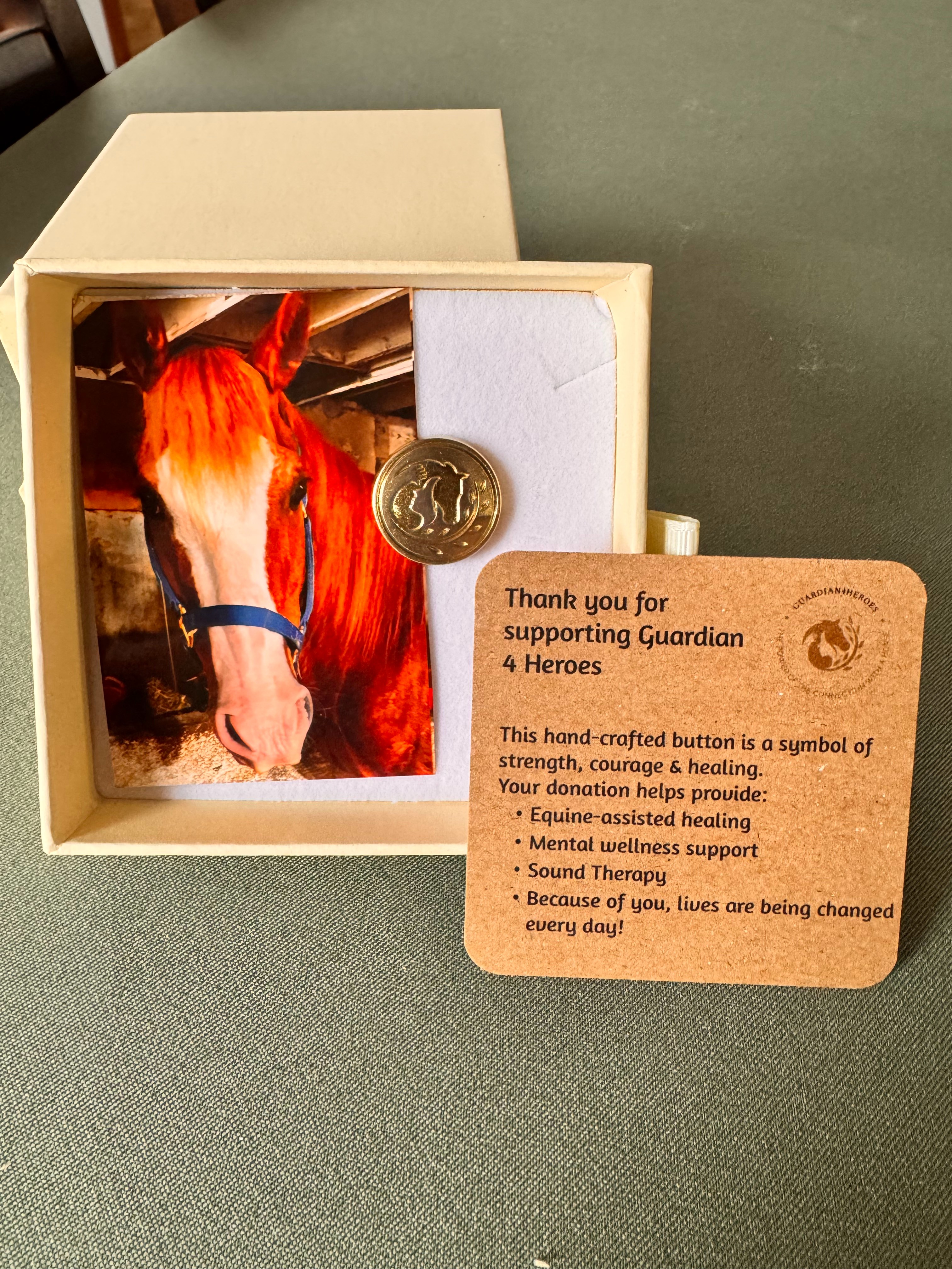 Maverick memorial limited edition Guardian 4 Heroes coin box gift set