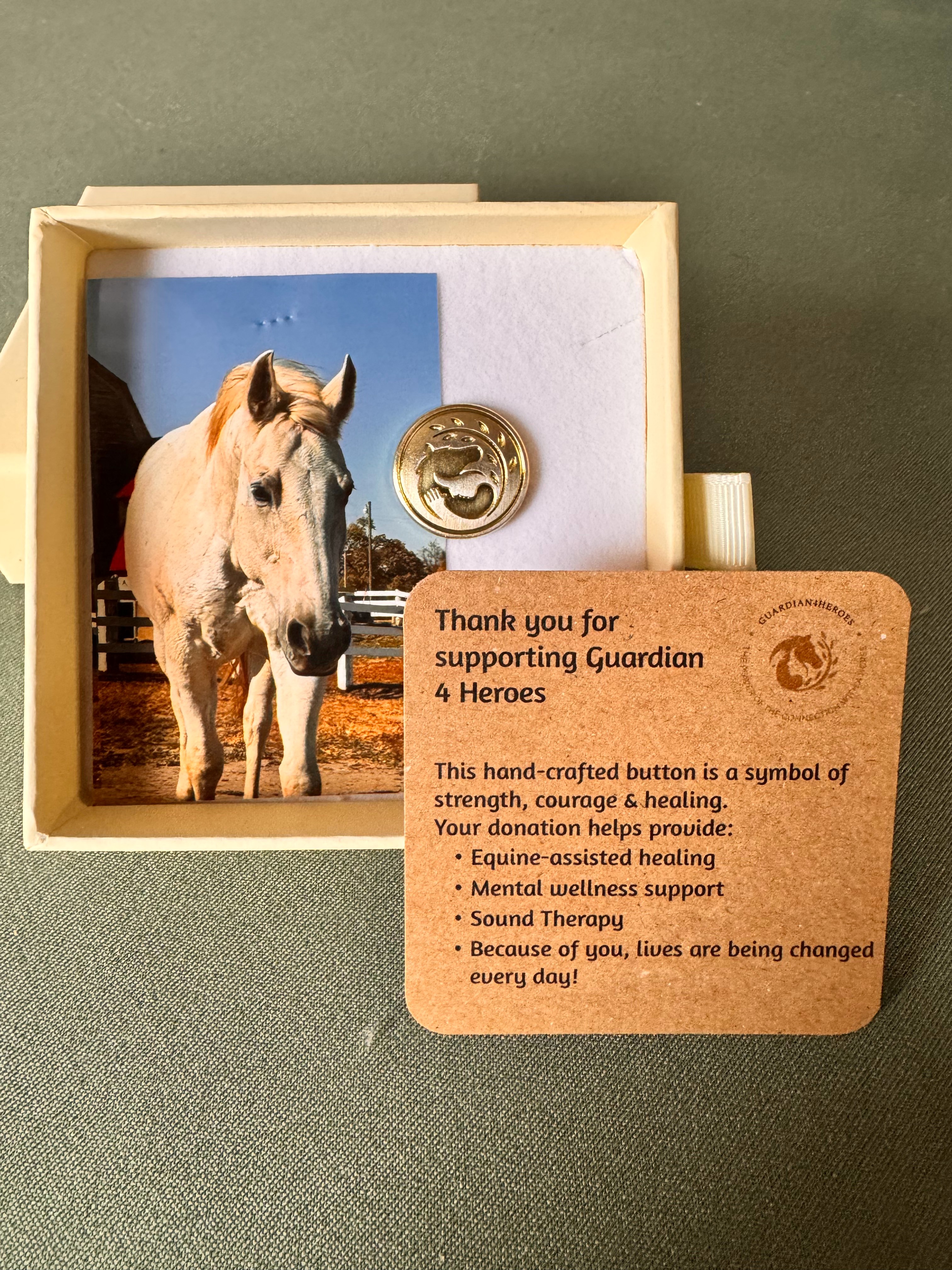 Rocket limited edition Guardian 4 Heroes coin box gift set