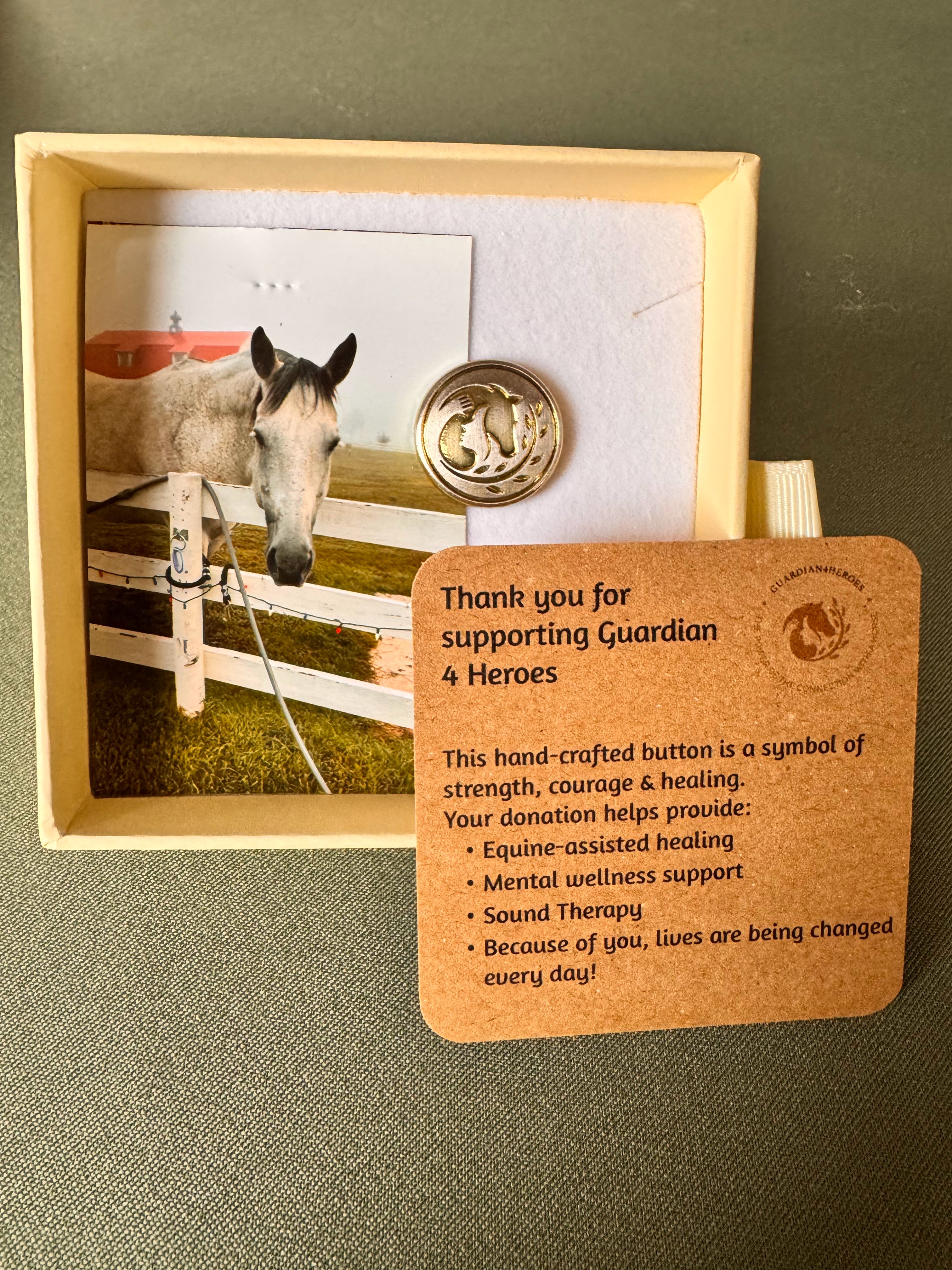 Smokey limited edition Guardian 4 Heroes coin box gift set